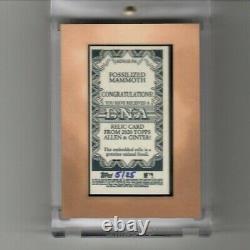 2020 Topps Allen & Ginter Fossilized Mammoth DNA Relic 5/25 Framed NEW
