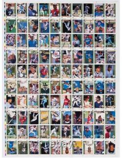 Brand New Upper Deck 1989 Rookies Uncut/framed Baseball Cards! Mint Condition