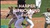 Bryce Harper And Hunter Strickland Throw Punches At Each Other A Breakdown