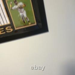 Fernando Tatis Jr. Signed Custom Framed Jersey Display