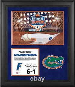 Florida Gators Framed 2017 Baseball College WS Champs 20x24 Collage
