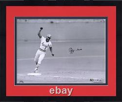 Framed Ozzie Smith St. Louis Cardinals Signed 16x20 1985 NLCS Photo