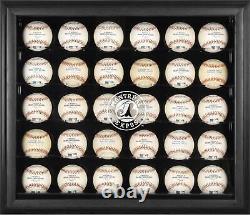 Montreal Expos Logo Black Framed 30-Ball Display Case