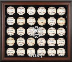 Montreal Expos Logo Brown Framed 30-Ball Display Case-Fanatics