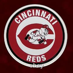 Pete Rose Signed Cincinnati Grey Custom Suede Matte Framed Baseball Jersey