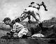 Ty Cobb Al Kaline Detroit Tigers Hof Mlb Baseball Photos Choices 8x10-48x36
