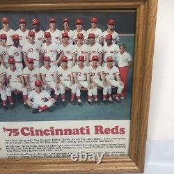 Affiche encadrée de l'équipe des Cincinnati Reds de 1975 signée par Pete Rose. RARE.