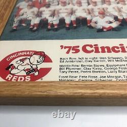 Affiche encadrée de l'équipe des Cincinnati Reds de 1975 signée par Pete Rose. RARE.